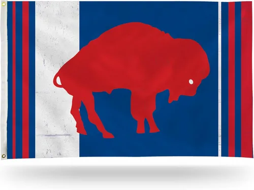 Vista 42 de Rico Industries Bandera estándar de la NFL de 3 x 5 pies, de una sola cara, para interior o exterior, decoración del hogar