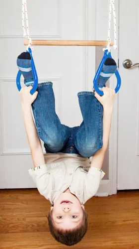 Vista 6 de Interior columpio por DreamGym Barra de Trapecio y anillas de gimnasia Combo para puerta de gimnasio – azul