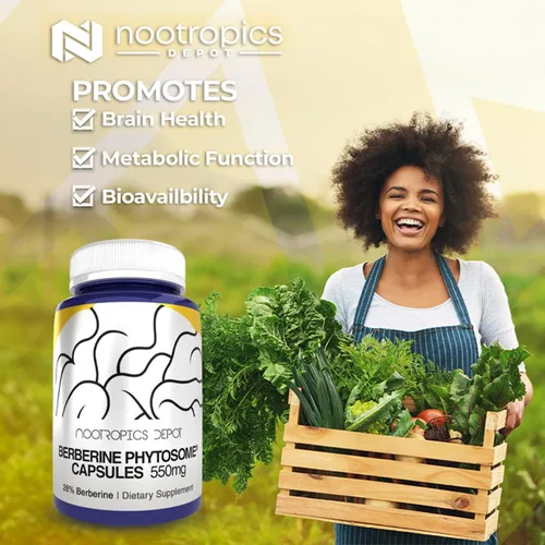 Vista 3 de Nootropics Depot Cápsulas de fitosoma de berberina 550mg Alta biodisponibilidad Berbevis Berberis aristata Salud metabólica, función
