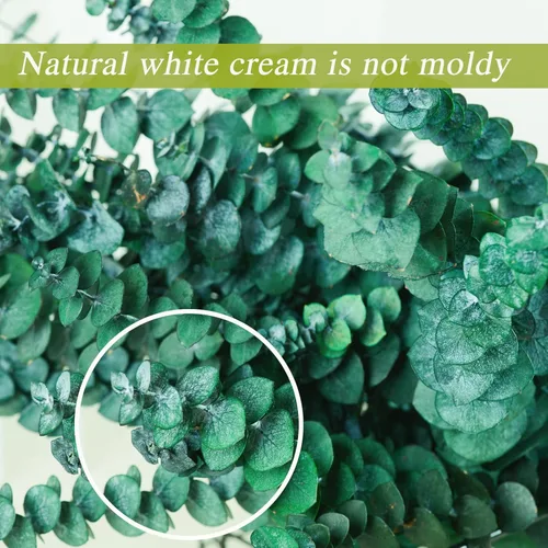 Vista 7 de 20 tallos de eucalipto seco preservado, ramas de eucalipto natural de 17 pulgadas para ducha, planta real para relleno de jarrón, arreglo de flores