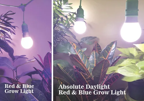 Vista 2 de Miracle LED Kit de luz de cultivo/abrazadera de 9W, rojo/azul