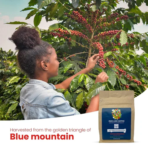 Vista 5 de Hierro Lion 100 Jamaica Blue Mountain Café recién asado y molido tostado medio molido 8oz