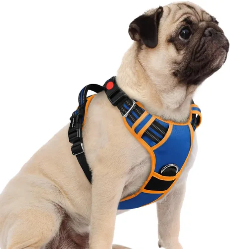 Vista 45 de Rabbitgoo - Arnés para perro de tamaño pequeño, sin tirones, 3 hebillas, fácil de poner y quitar Suave acolchado, caminar con mango de control