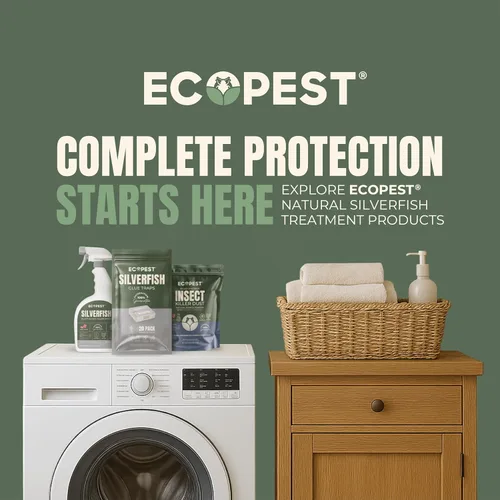 Vista 11 de Silverfish Trap - Paquete de 12 Trampa adhesiva para pegamento interior para peces plateados, Firebrat y otros insectos e insectos rastreros