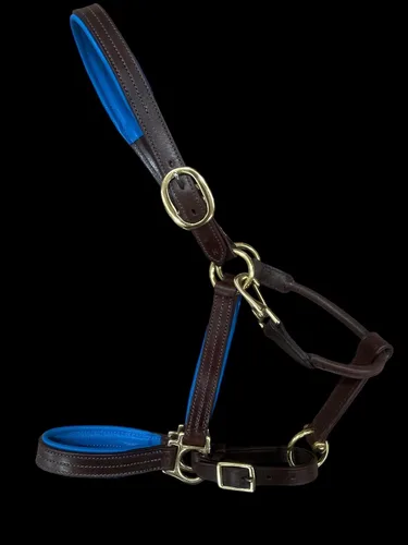 Vista 9 de Leaders - Cabestro acolchado de cuero para caballos con placa de nombre grabada personalizada con opción halter para caballo