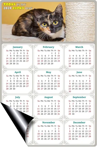 Vista 2 de Calendario magnético 2023, imanes de calendario, hoy es mi día de la suerte, temática de gato 024 (5.25 x 8)