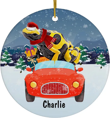 Winter Red Car Design with Bumblebee Dart Frog Personalized Name Christmas Ornaments 2026 Circle Ceramic Pet Owner Gifts