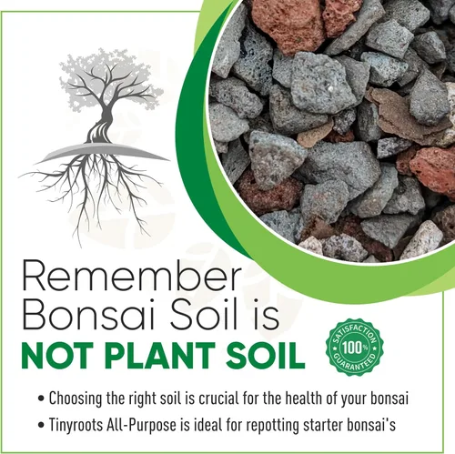 Vista 4 de Tinyroots Bonsai Soil Plus un paquete de tres macetas de entrenamiento para bonsái de seis pulgadas
