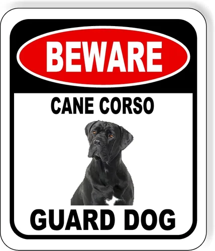 Vista 121 de BEWARE BASSETT HOUND GUARD DOG - Letrero compuesto de aluminio para exteriores, 8.5 x 10 pulgadas