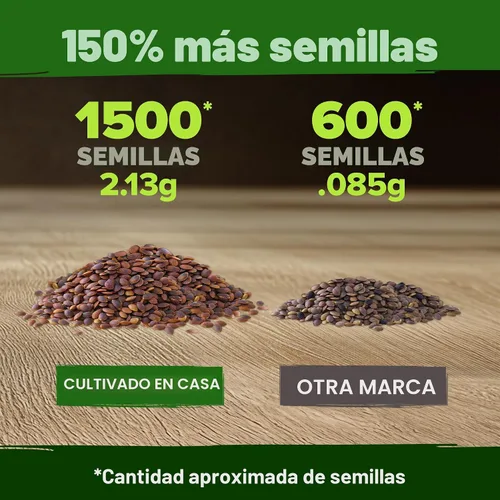 Vista 1117 de HOME GROWN Golden West Poppy 6000 Semillas de flor Eschscholzia californica