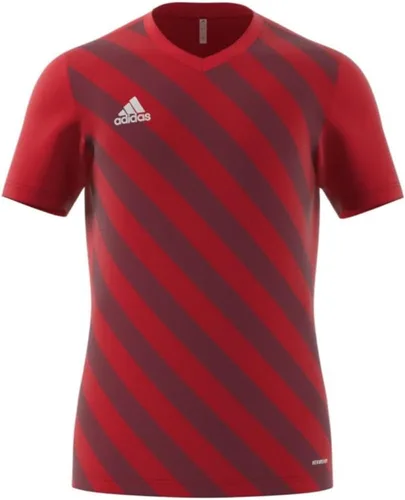 Vista 3 de adidas Entrada 22 - Camiseta para hombre