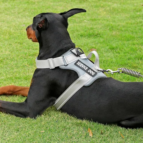 Vista 110 de Demigreat Arnés de perro de servicio, arnés reflectante para perro con 5 parches, arnés Oxford suave ajustable para mascotas, malla de capa