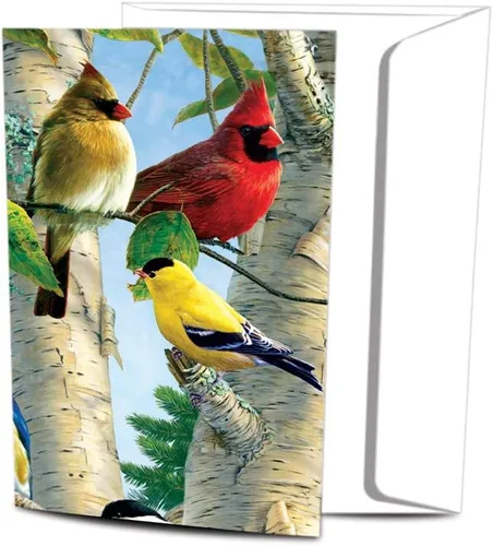 Tree-Free Greetings EcoNotes - Juego de 12 tarjetas de notas favoritas para todas las ocasiones con sobres, 4 x 6 pulgadas (FS66507)