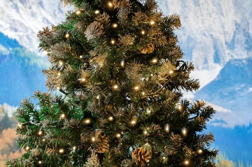 Vista 6 de Novelty Lights - Cadena de luces navideñas de 11 pies, 50 luces LED de color blanco cálido, en cable verde, bombillas de ángulo amplio de 5 mm