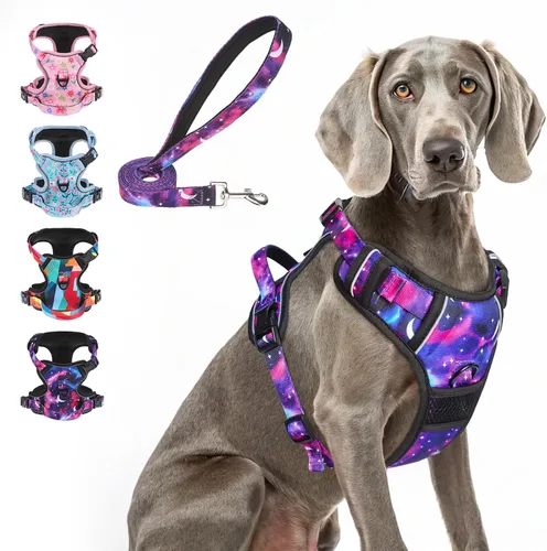 Vista 12 de BEAUTYZOO Arnés para perro sin tirones pequeño, juego de arnés y correa ajustable para perro - Fácil de usar con 3 hebillas/mango de control, arnés