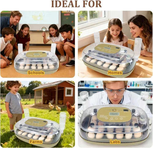 Vista 9 de Incubadora de 24 huevos para incubar con girador automático, control inteligente de temperatura y humedad, visualización 360°, ovoscopio, recarga