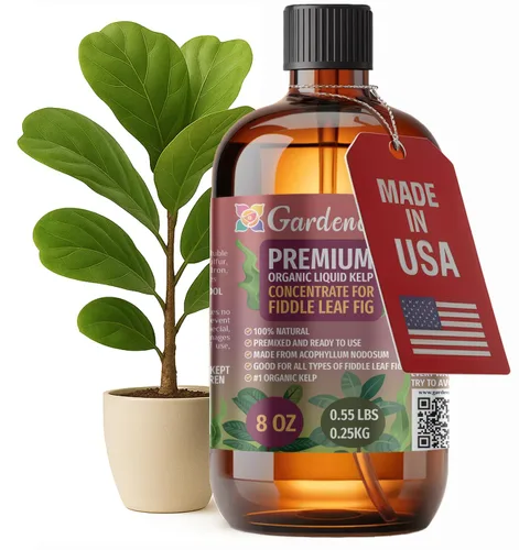 Vista 26 de GARDENERA Superalimento orgánico prémium de algas marinas y algas marinas para plantas AGLAONEMA, 8 onzas, concentrado de fertilizante líquido