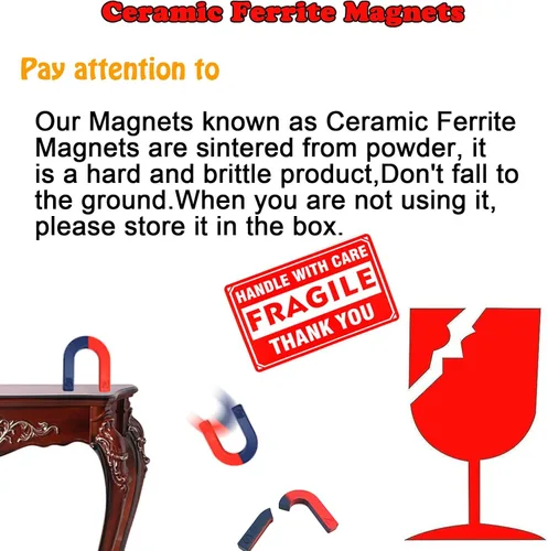 Vista 4 de EUDAX Kit de imanes de ciencia de física para herramientas de experimento de ciencia educativa Icluyendo barra/anillo/herradura/brújula