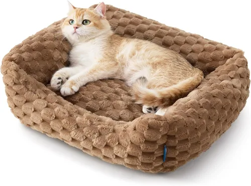 Vista 13 de Bedsure Linda cama lavable y esponjosa para gatos y gatitos de interior, 20 Gris