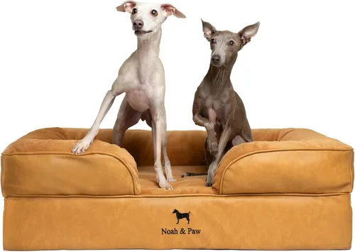 Vista 16 de NOAH & PAW Cama pequeña para perros, 20 x 15 x 8 pulgadas, cama para gatos de interior, espuma viscoelástica ortopédica de cáscara de huevo