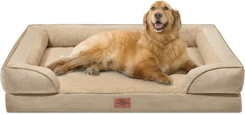 Vista 234 de Comfort Expression - Cama ortopédica para perros pequeños, 20 x 14 pulgadas, cama impermeable y de apoyo de espuma con cojines removibles, sofá