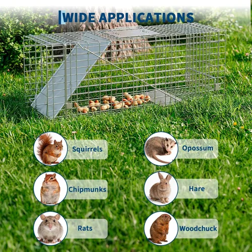 Vista 8 de Squirrels Trap Single Door Animal Traps Foldable Live Animal Trap Easy Set & Release Traps for Stray Cats Armadillos Rabbits Skunks Groundhogs 24 *