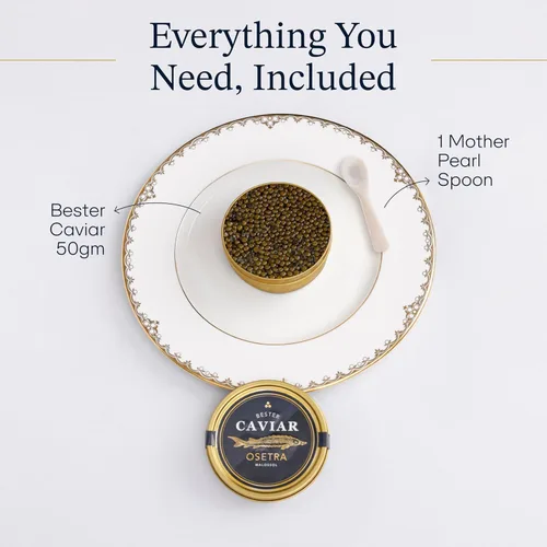 Vista 3 de BESTER CAVIAR Caviar de esturión Osetra de primera calidad, huevas negras de Malossol Ossetra cosechadas tradicionalmente con cuchara de nácar