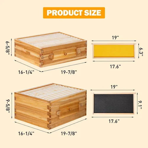Vista 4 de BeeCastle Colmena Langstroth de 10 marcos con ventanas, colmena de abejas recubierta con cera de abejas para principiantes con marcos de colmena
