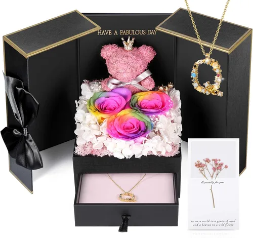 Vista 24 de ADDWel Regalos de Rosa Preservada para Ella - Rosa Real Única y Permanente con Collar "Te Amo" en 100 Idiomas, Regalos de Rosa Eterna para Mujeres