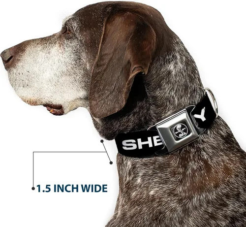 Vista 7 de Collar de perro hebilla de cinturón de seguridad Shelby texto solo negro blanco 9.5 a 13 pulgadas 1.0 pulgadas de ancho