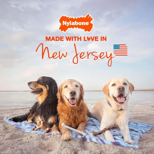 Vista 7 de Nylabone Paquete de 4 juguetes masticables fuertes para perros, hechos con tocino real, bisonte, venado, carne de res y pollo, huesos duraderos