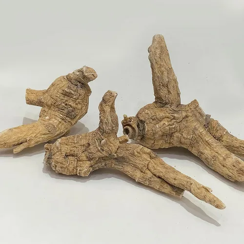 Vista 2 de Zen Ginseng - Bolsa de 4 onzas de ginseng americano sin recortar - Sin OMG, sin gluten. Añade este ginseng en sopa, té, café, jugos, batidos