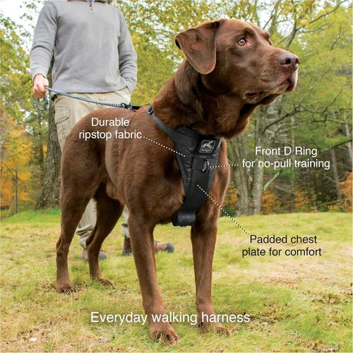 Vista 4 de Kurgo Tru-Fit - Arnés inteligente para caminar para perros, ajuste cómodo, arnés ajustable, reflectante para mascotas, liberación rápida