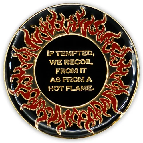 Vista 4 de Moneda de sobriedad de 1 año Flames AA Chip Medallion Recovery Gift Aniversario Token con Alcohólicos Anónimos Afirmación de promesa de décimo paso
