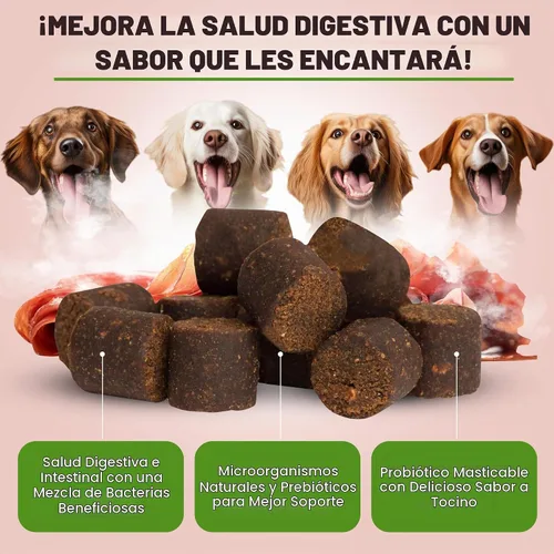 Vista 4 de Only Natural Pet Suplemento probiótico para perros y gatos, fórmula enzimática para la salud digestiva y intestinal, masticables digestivos