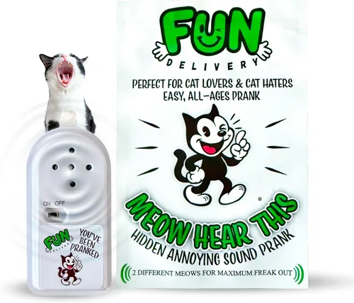 Vista 15 de FUN delivery: Bleepin' Batería Oculta Molesto Humo Alarma Pitido Broma Broma Sonido Mordaza