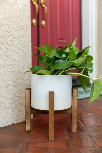 Vista 4 de Flora Bunda Maceta de cerámica Mid Century de 8 pulgadas, maceta grande de dos tonos en soporte de madera, color blanco