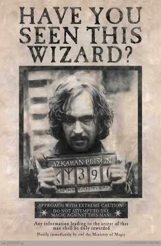 Vista 20 de Trends International El Mundo Mágico: Harry Potter - Póster de Buscado de Sirius Black, Póster de Pared, 14.725" x 22.375", Versión con Marco