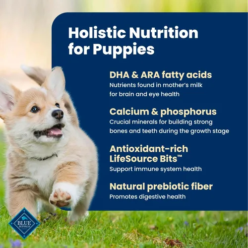 Vista 5 de Blue Buffalo - Alimento seco Life Protection Formula de pollo para cachorros, 15 libras