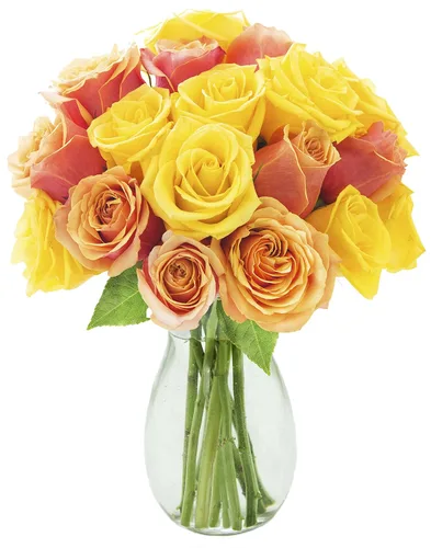 Vista 6 de KaBloom Entrega al día siguiente: colección para el día de la madre, 6 rosas arcoíris con ramo de verde. Regalo para cumpleaños, condolencias