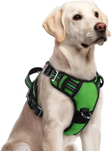 Vista 56 de rabbitgoo Arnés para perro de tamaño pequeño, chaleco para perro sin tirones con 3 hebillas, arnés ajustable y acolchado suave para mascotas con asa