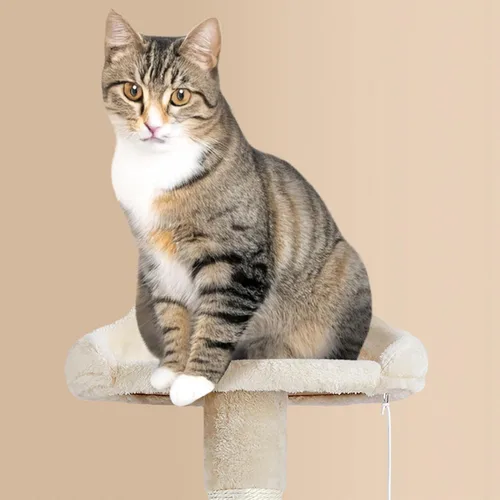 Vista 41 de Yaheetech - Árbol para gatos de 64.5 pulgadas con poste rascador, cama para gatos con cubierta de felpa y hamaca, plataforma, percha para gatos