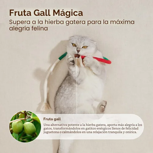 Vista 4 de Potaroma Juguetes para gatos con cuerdas para masticar 3 piezas con hierba gatera natural recargable, juguete seguro para limpieza de dientes