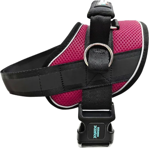 Vista 21 de Joyride Harness Chaleco de malla de verano – Arnés para perro 2.0 sin tirones – Chaleco ajustable y transpirable – Etiqueta de nombre personalizada
