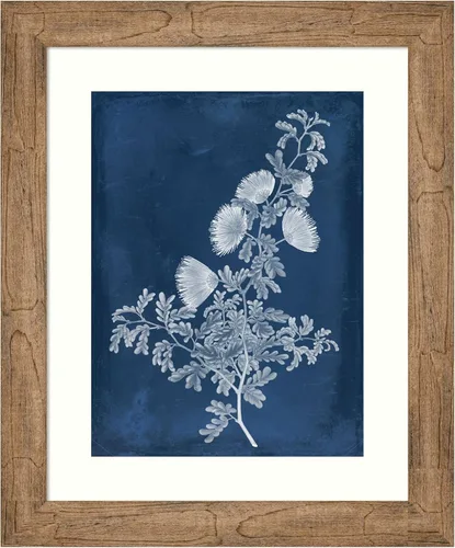 Amanti Art Framed Wall Art Print 24x20 Botanical in Indigo IV by Vision Studio, Nature Wall Art, Vintage Decor, Small Poster Painting Artwork for