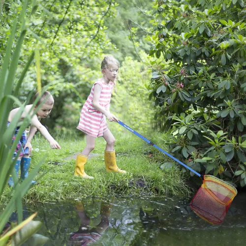 Vista 7 de PLUSINNO Red de pesca para niños, red telescópica ligera con mango de poste de aluminio y malla de nailon, red de mariposa de captura y liberación