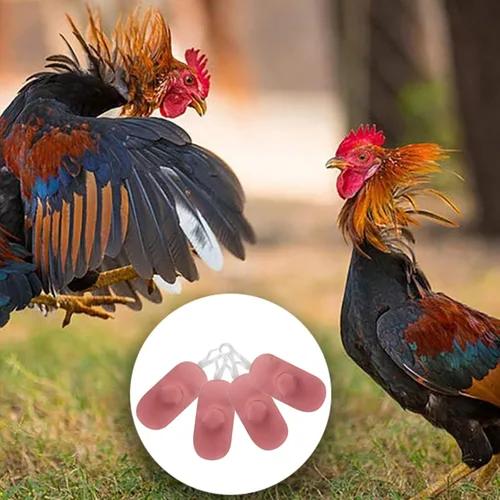 Vista 5 de Suministros para Gallos de Pelea Calzado para Pollos Accesorios de Gallos Suministros para Pollos Suministros para el Cuidado de Aves de Corral