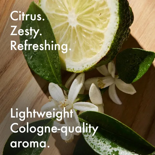 Vista 6 de The Art of Shaving Pre Shave Beard Oil for Men