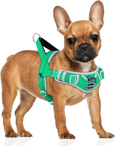 Vista 22 de ADVENTUREMORE Arnés deportivo para perros grandes, antitirones, arnés tipo halter reflectante transpirable chaleco a prueba de escapes con asa