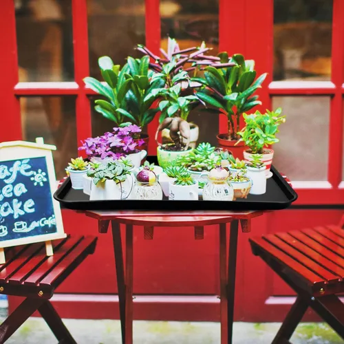 Vista 4 de Bandeja grande de plástico negro, bandeja rectangular multiusos, paquete de 4, 25.24 pulgadas de largo x 17.6 pulgadas de ancho